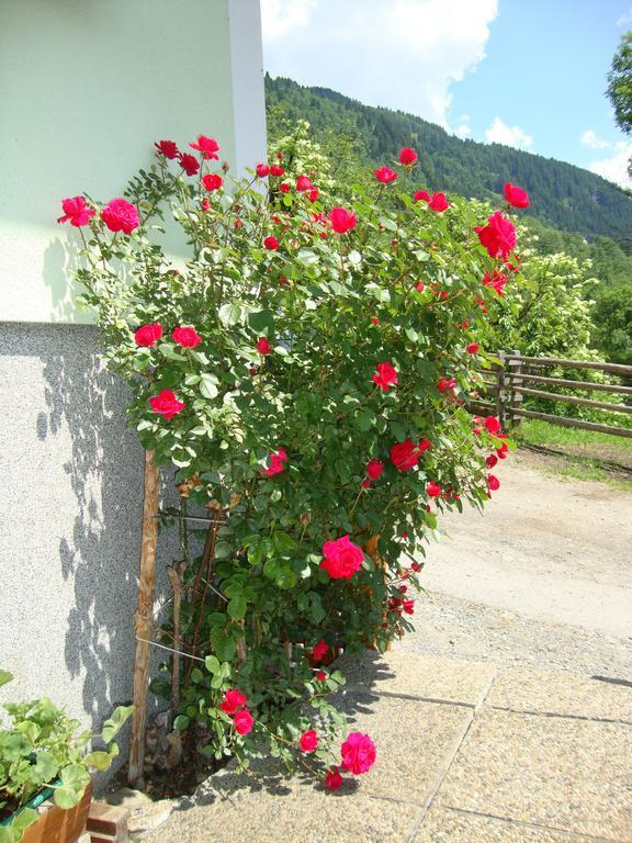 Gruberbauer Remsach Lägenhet Bad Gastein Exteriör bild
