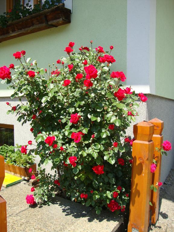 Gruberbauer Remsach Lägenhet Bad Gastein Exteriör bild